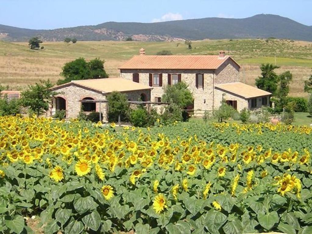 Affitti Brevi Toscana - Ospitalita In Toscana Fonteblanda Værelse billede